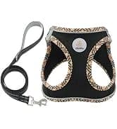 Cat Carrier Dog Carrier for Pets Up to 16 Lbs — collection imagery