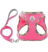 Cat Carrier Dog Carrier for Pets Up to 16 Lbs — collection imagery