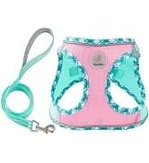 Cat Carrier Dog Carrier for Pets Up to 16 Lbs — collection imagery