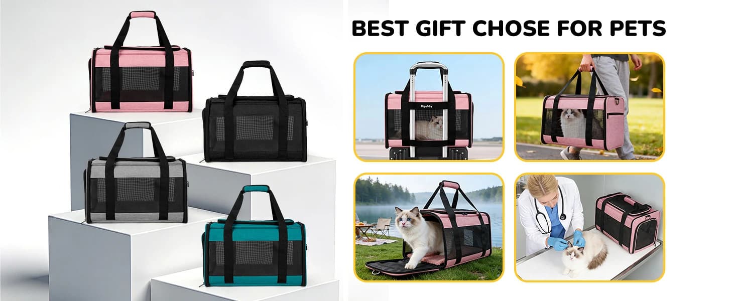 Cat Carrier Dog Carrier for Pets Up to 16 Lbs — product details