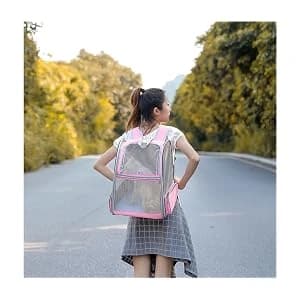 Innovative Traveler Bubble Backpack Pet Carriers for Dogs and Cats — 180° Viewing
