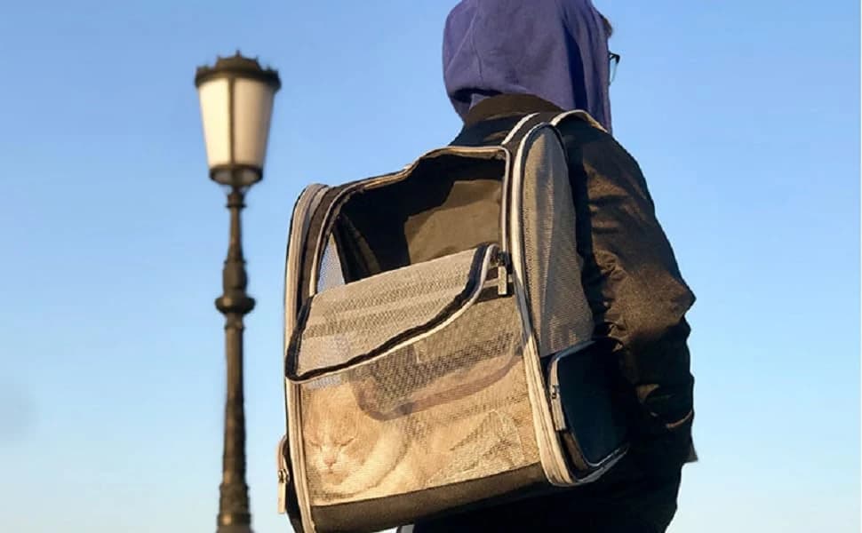 Innovative Traveler Bubble Backpack Pet Carriers for Dogs and Cats — product details