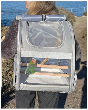 Innovative Traveler Bubble Backpack Pet Carriers for Dogs and Cats — collection imagery