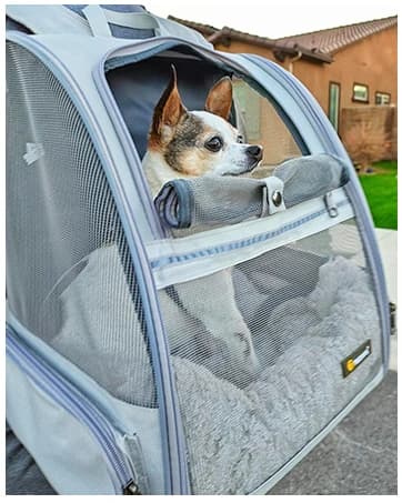 Innovative Traveler Bubble Backpack Pet Carriers for Dogs and Cats — collection imagery