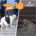 Adjustable Dog Sling for Large Dogs Hind Leg Support Weak Legs Mobility Aid
