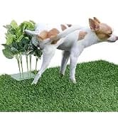 Adjustable Dog Sling for Large Dogs Hind Leg Support Weak Legs Mobility Aid — collection imagery