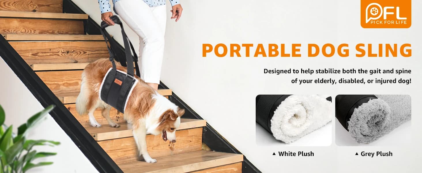 Adjustable Dog Sling for Large Dogs Hind Leg Support Weak Legs Mobility Aid — Dog Sling