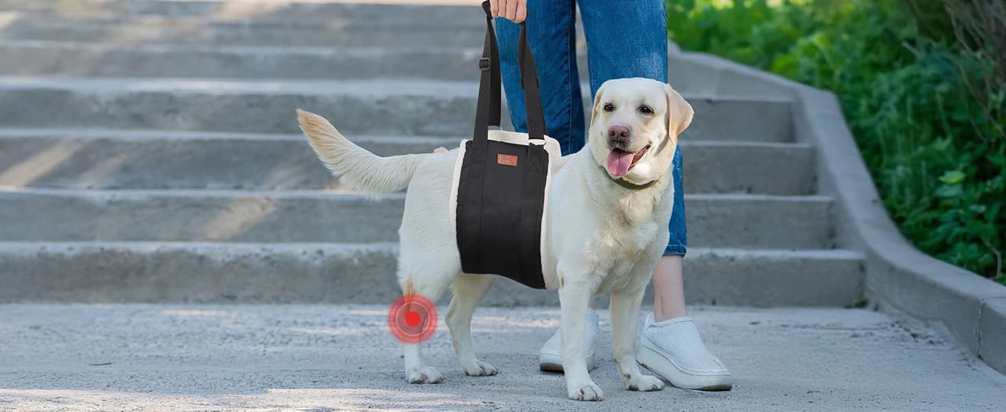 Adjustable Dog Sling for Large Dogs Hind Leg Support Weak Legs Mobility Aid — collection imagery