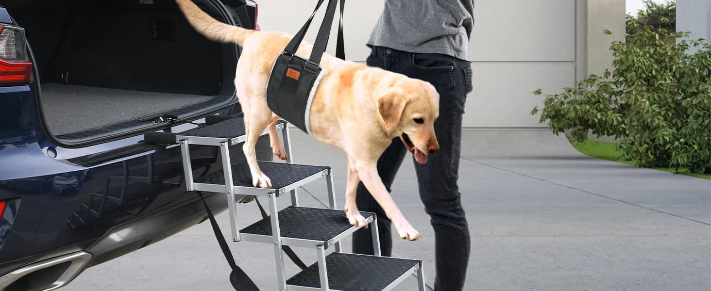 Adjustable Dog Sling for Large Dogs Hind Leg Support Weak Legs Mobility Aid — collection imagery