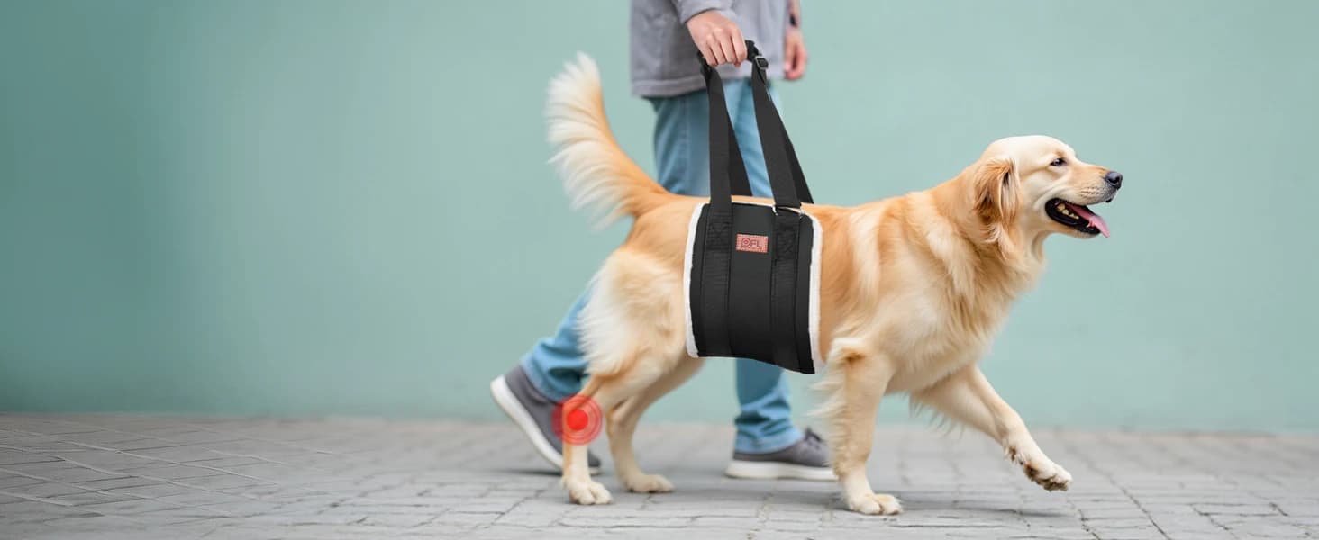Adjustable Dog Sling for Large Dogs Hind Leg Support Weak Legs Mobility Aid — collection imagery