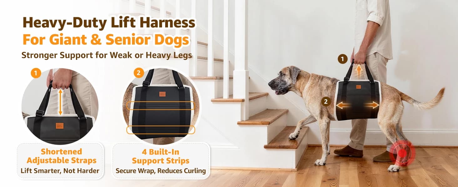 Adjustable Dog Sling for Large Dogs Hind Leg Support Weak Legs Mobility Aid — collection imagery
