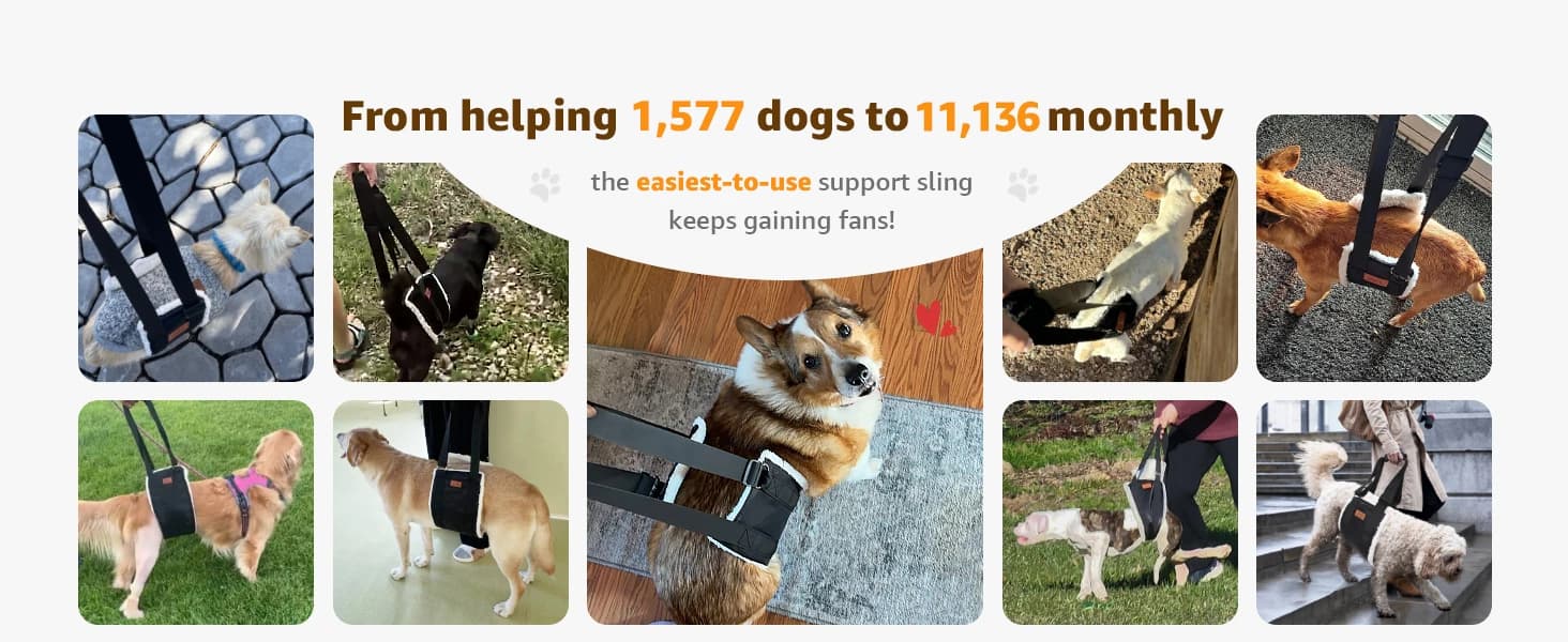 Adjustable Dog Sling for Large Dogs Hind Leg Support Weak Legs Mobility Aid — collection imagery
