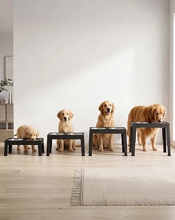 Elevated Dog Bowls Large Breed Raised Dogs Bowl Stand Large/Medium Sized Dog Stainless Steel Food Water Bowl — collection imagery
