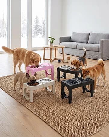 Elevated Dog Bowls Large Breed Raised Dogs Bowl Stand Large/Medium Sized Dog Stainless Steel Food Water Bowl — collection imagery