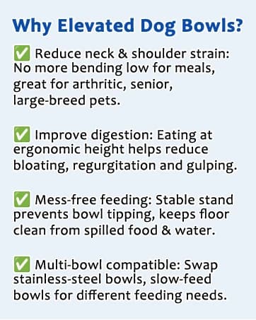Elevated Dog Bowls Large Breed Raised Dogs Bowl Stand Large/Medium Sized Dog Stainless Steel Food Water Bowl — collection imagery