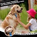 Professional 3PCS Self Cleaning Slicker Brush and Pet Grooming Rake & Flea Comb for Dogs