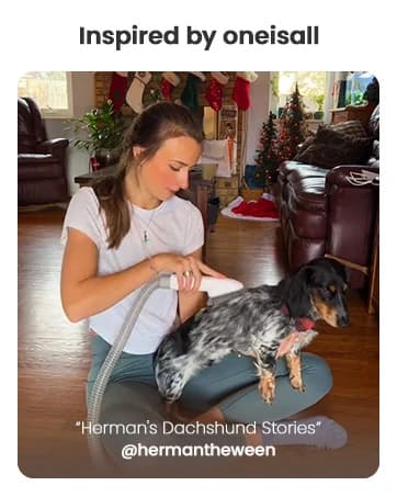Dog Grooming Vacuum,7 in 1 Grooming kit Tools with Low Noise — collection imagery