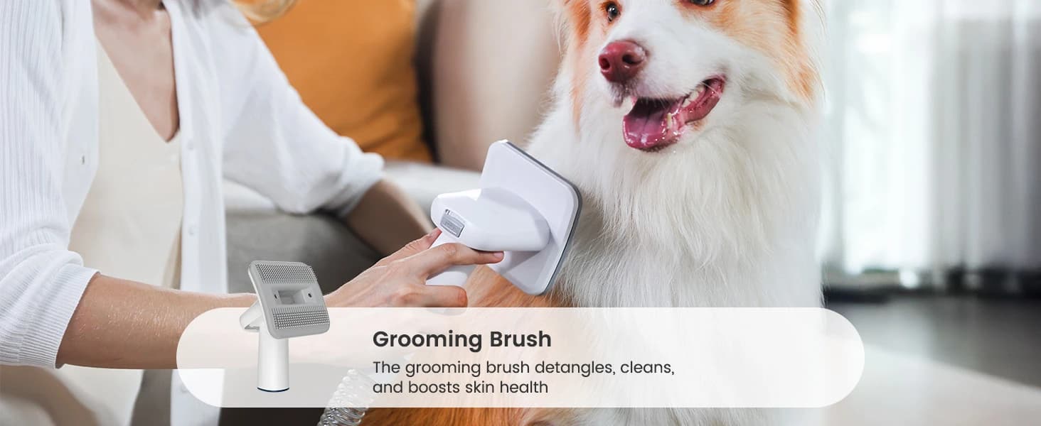 Dog Grooming Vacuum,7 in 1 Grooming kit Tools with Low Noise — collection imagery