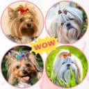 Small Dog Hair Bows with Rubber Bands for Small and Medium Dogs