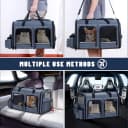 Cat Carrier for 2 Cats — Double Cat and Dual Dog Carrier Cabin for Two Pets