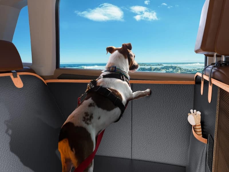 Dog Car Seat Cover for Back Seat — PU Leather Back Seat Extender — Enjoy the Journey with You!