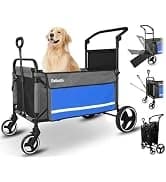 Dog Tie Out Cable and Stake — 30ft Heavy Duty Dog Leads for Yard — collection imagery