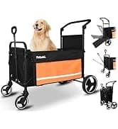 Dog Tie Out Cable and Stake — 30ft Heavy Duty Dog Leads for Yard — collection imagery