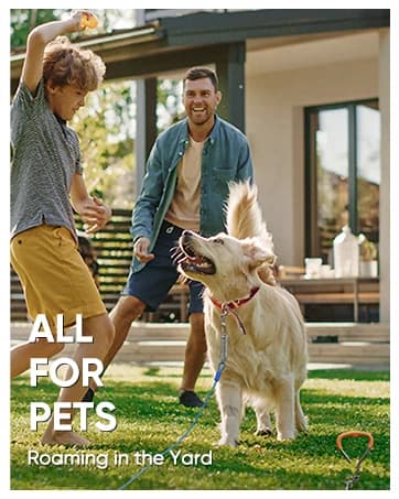 Dog Tie Out Cable and Stake — 30ft Heavy Duty Dog Leads for Yard — collection imagery