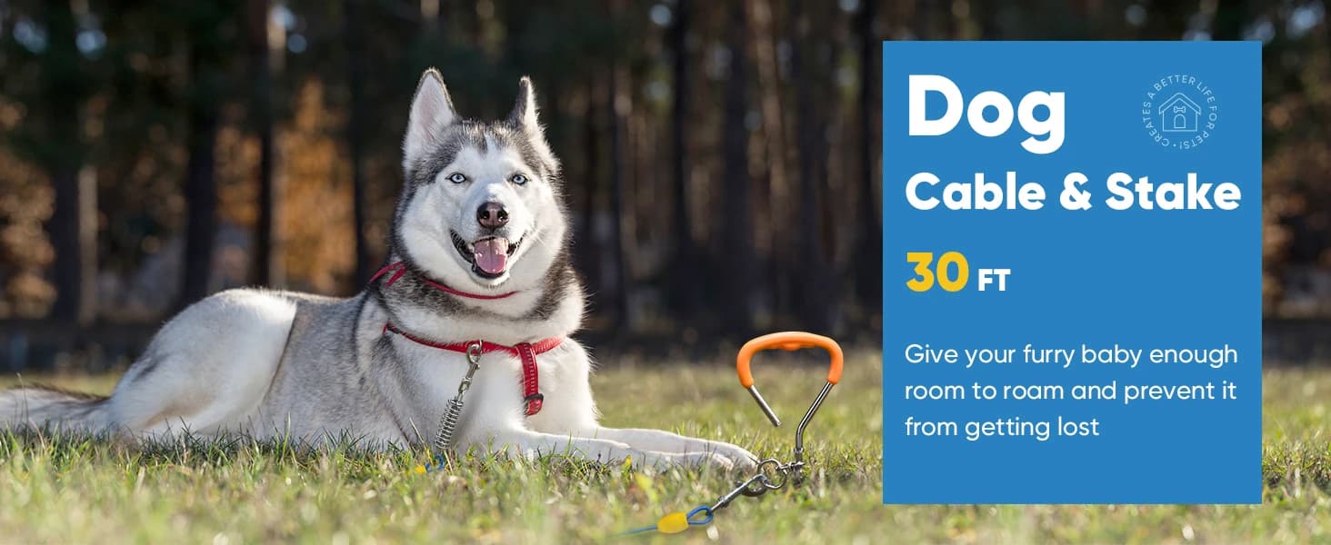 Dog Tie Out Cable and Stake — 30ft Heavy Duty Dog Leads for Yard — product details