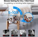 Elevated Slow Feeder Dog Bowls — 2 Cups for 15-60 LBS Breed Puppy