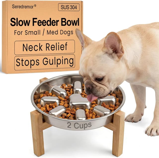 Elevated Slow Feeder Dog Bowls — 2 Cups for 15-60 LBS Breed Puppy