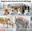 Elevated Slow Feeder Dog Bowls — 2 Cups for 15-60 LBS Breed Puppy
