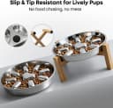 Elevated Slow Feeder Dog Bowls — 2 Cups for 15-60 LBS Breed Puppy