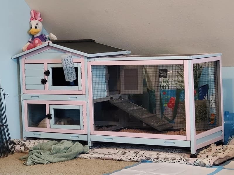 Rabbit Hutch Outdoor Indoor Rabbit Cage Chicken Coop with Casters Guinea Pig Cage with 3 Deep No Leakage Pull — Voice of the Customer