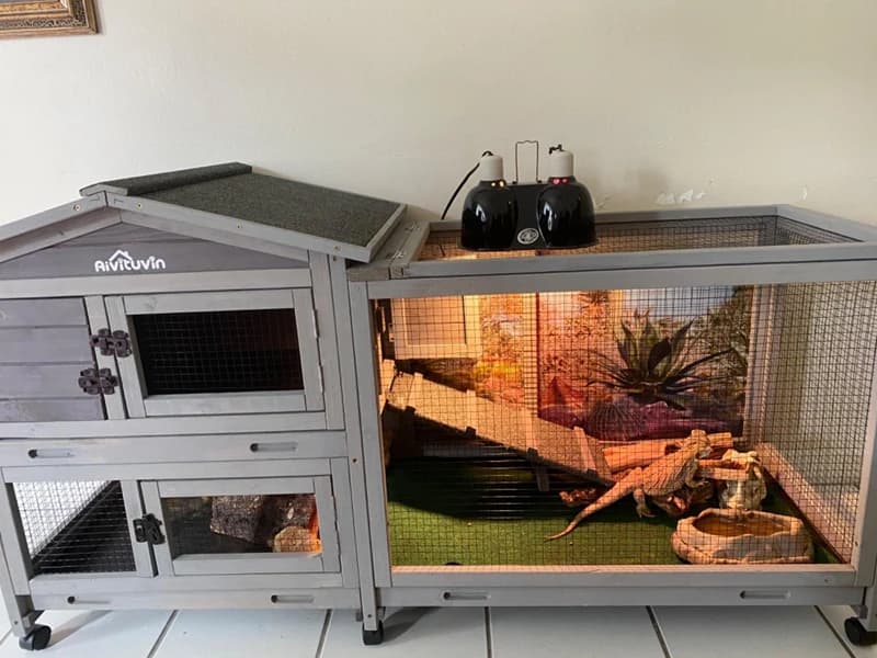 Rabbit Hutch Outdoor Indoor Rabbit Cage Chicken Coop with Casters Guinea Pig Cage with 3 Deep No Leakage Pull — Voice of the Customer