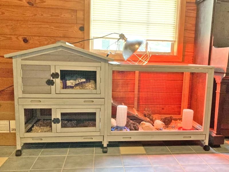 Rabbit Hutch Outdoor Indoor Rabbit Cage Chicken Coop with Casters Guinea Pig Cage with 3 Deep No Leakage Pull — Voice of the Customer