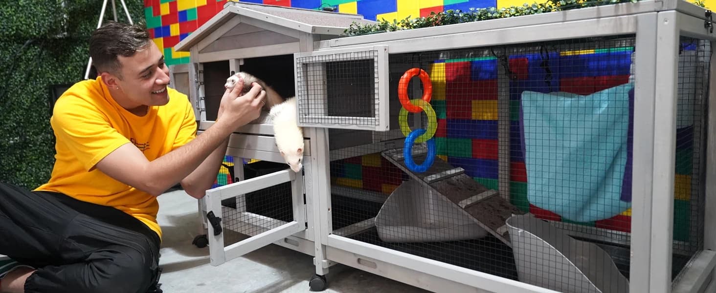 Rabbit Hutch Outdoor Indoor Rabbit Cage Chicken Coop with Casters Guinea Pig Cage with 3 Deep No Leakage Pull — collection imagery