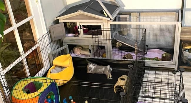 Rabbit Hutch Outdoor Indoor Rabbit Cage Chicken Coop with Casters Guinea Pig Cage with 3 Deep No Leakage Pull — (Pls Note-Package Do Not Include The Playpen)