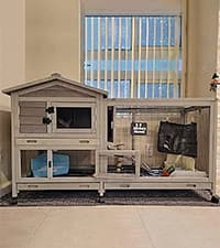 Rabbit Hutch Outdoor Indoor Rabbit Cage Chicken Coop with Casters Guinea Pig Cage with 3 Deep No Leakage Pull — collection imagery