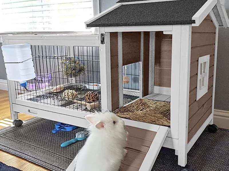 Rabbit Hutch Indoor Bunny Cage Outdoor Bunny House with Wire Floor Leakproof Plastic Tray — Voice of the Customer