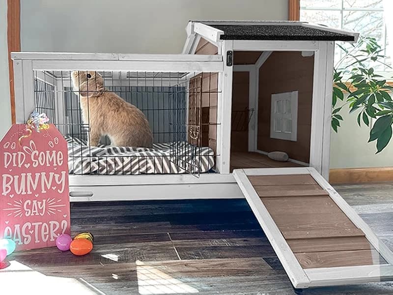 Rabbit Hutch Indoor Bunny Cage Outdoor Bunny House with Wire Floor Leakproof Plastic Tray — Voice of the Customer