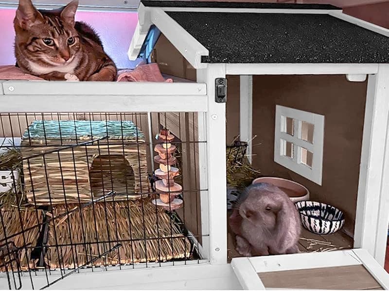 Rabbit Hutch Indoor Bunny Cage Outdoor Bunny House with Wire Floor Leakproof Plastic Tray — Voice of the Customer