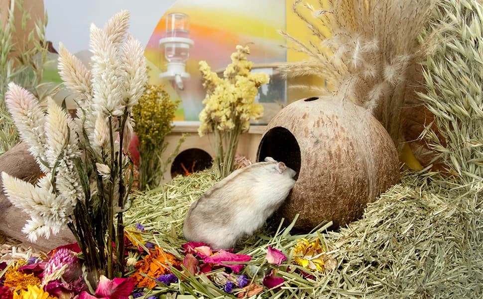 Coconut Hut Hamster House Bed — Natural Gerbils Hideout — product details