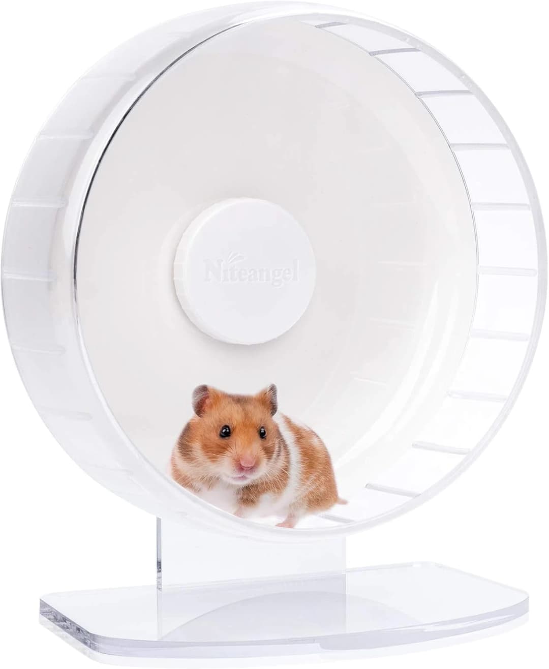 Super-Silent Hamster Exercise Wheels: Quiet — 10 inch Running Wheel