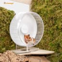 Super-Silent Hamster Exercise Wheels: Quiet — 10 inch Running Wheel