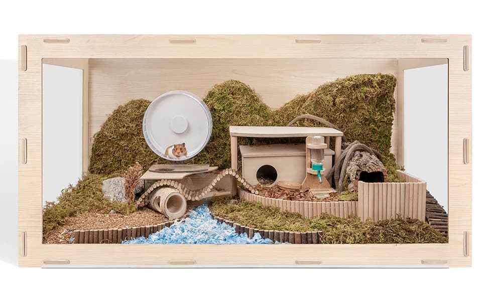Super-Silent Hamster Exercise Wheels: Quiet — 10 inch Running Wheel — How to build the scene in the villa for your hamster？