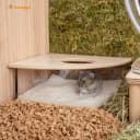 Animal Sand-Bath Box: - Acrylic Critter's Sand Bath Shower Room and Digging Sand Container for Hamsters Mice