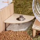 Animal Sand-Bath Box: - Acrylic Critter's Sand Bath Shower Room and Digging Sand Container for Hamsters Mice
