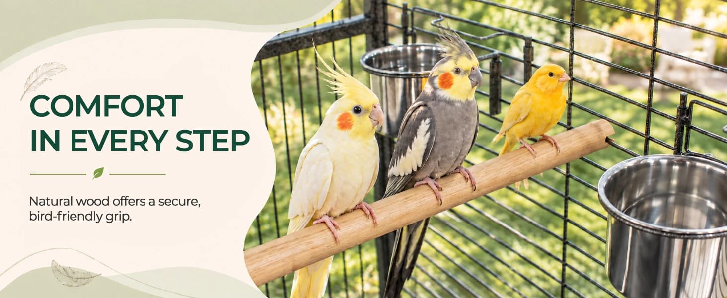 68-Inch Birdcage — Playtop Parrot Cage — collection imagery