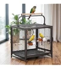 68-Inch Birdcage — Playtop Parrot Cage — collection imagery